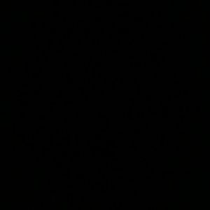 Meet your Posher, Brittni