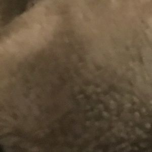 Meet your Posher, Daisy