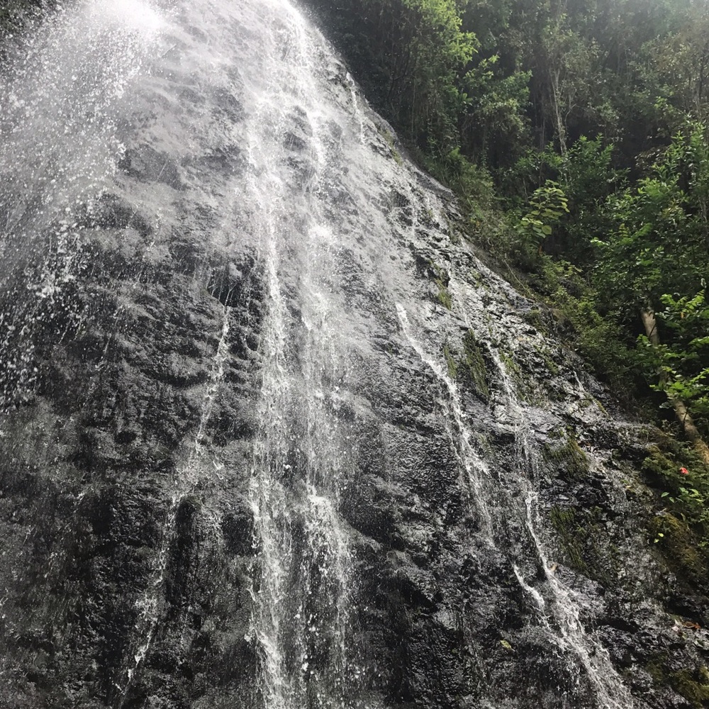 Meet your Posher, Kiara