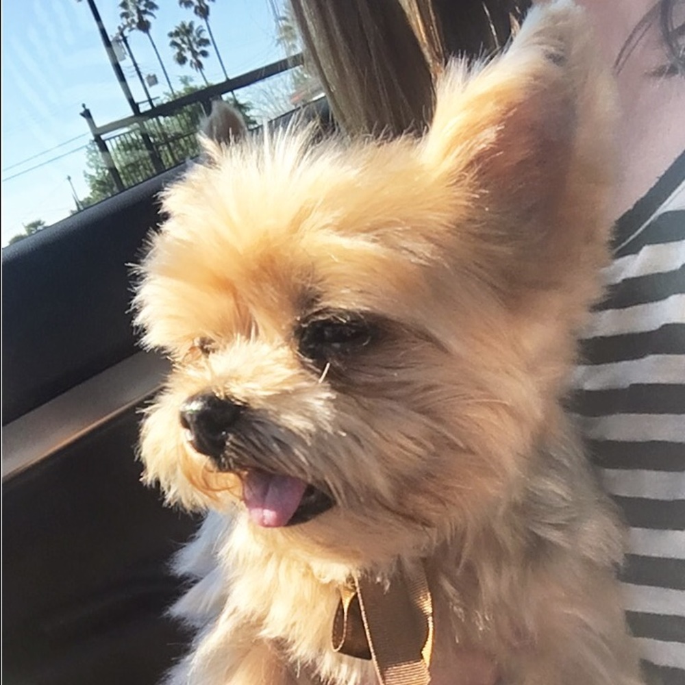 Meet your Posher, Vicky