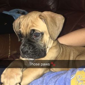 Meet your Posher, Ashton