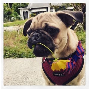 Meet your Posher, Katherine