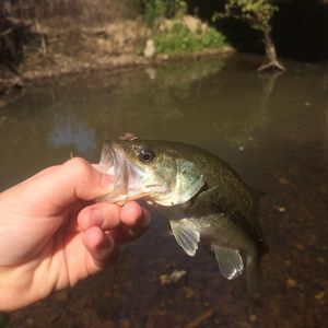 Meet your Posher, Drew