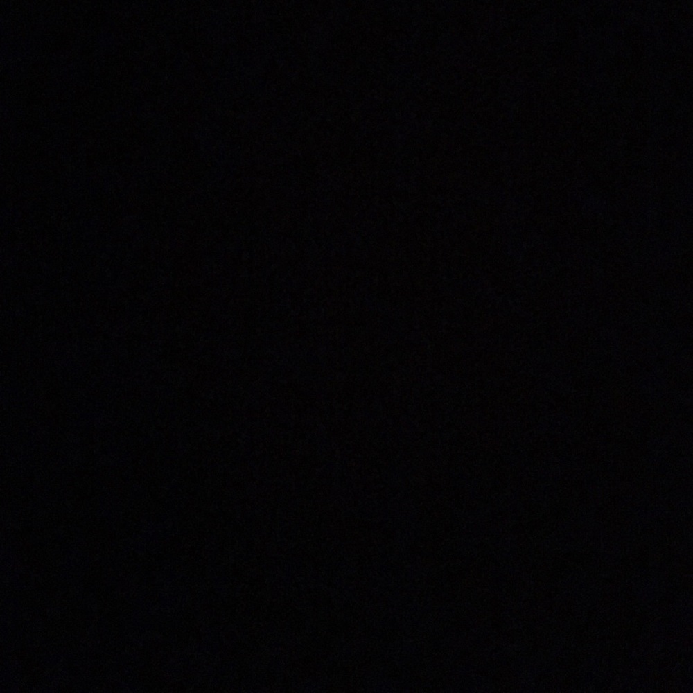 Meet your Posher, Abigail