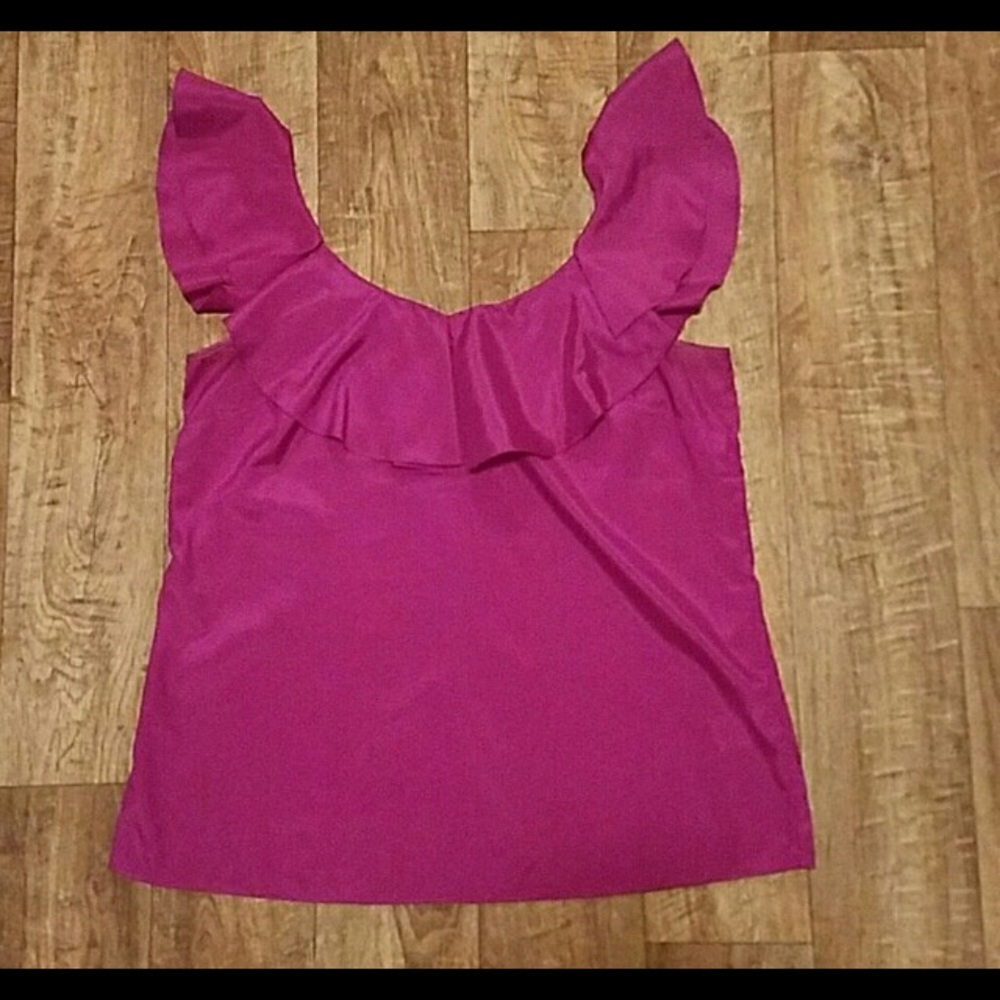 Banana Republic Ruffle Sleeve Too