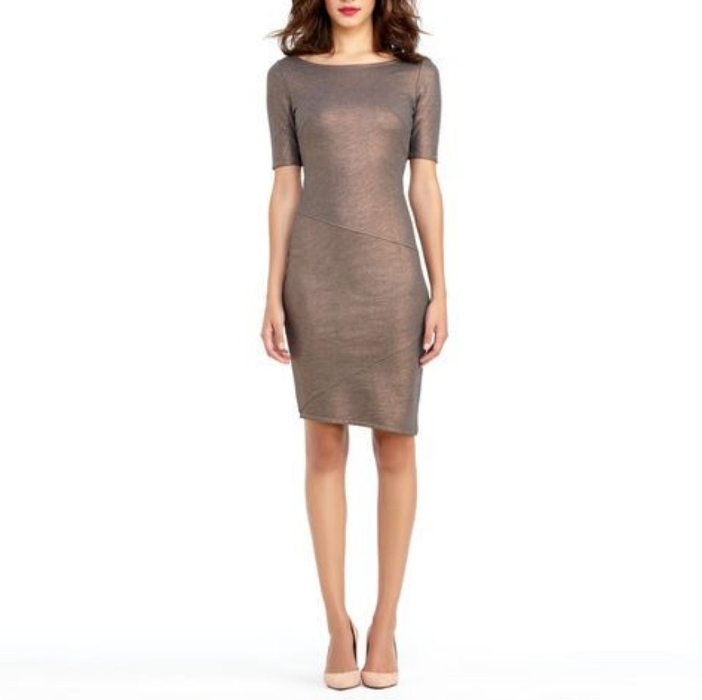 Rachel Roy Copper Fitted Dress