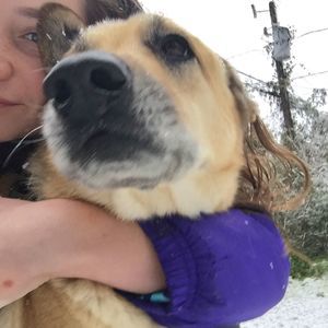 Meet your Posher, Lily