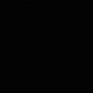 Meet your Posher, Junior