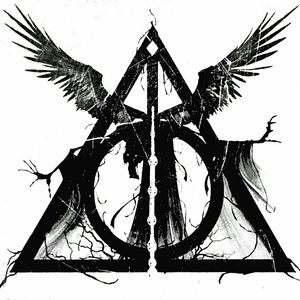 Meet your Posher, Maddi