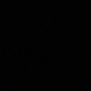 Meet your Posher, Abbey