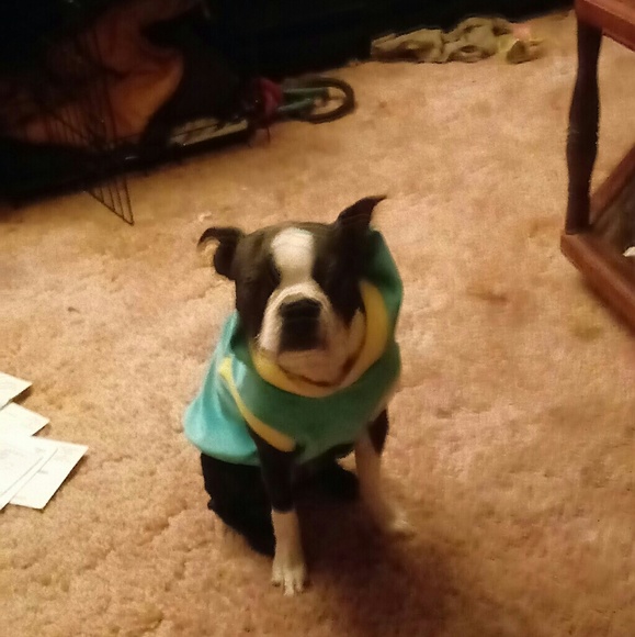 Meet your Posher, Amanda - Picture 2 of 8