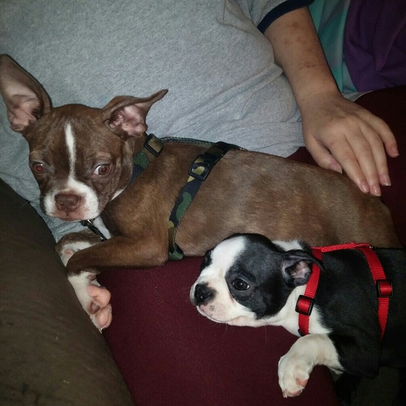 Meet your Posher, Amanda - Picture 5 of 8