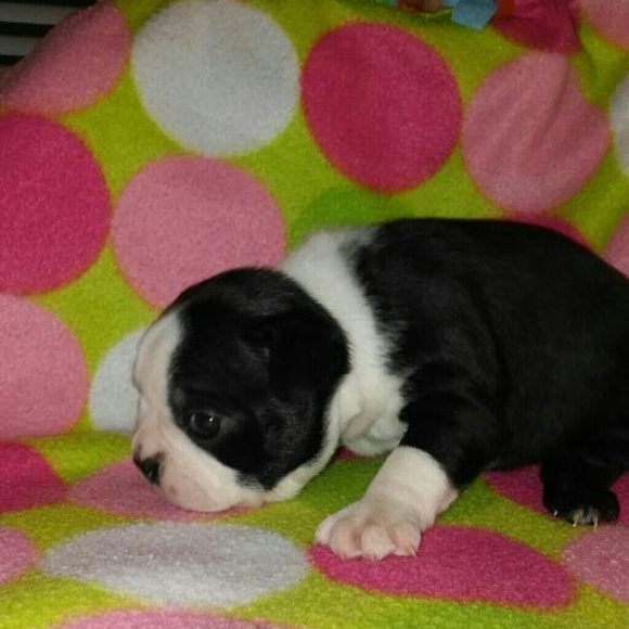 Meet your Posher, Amanda - Picture 6 of 8