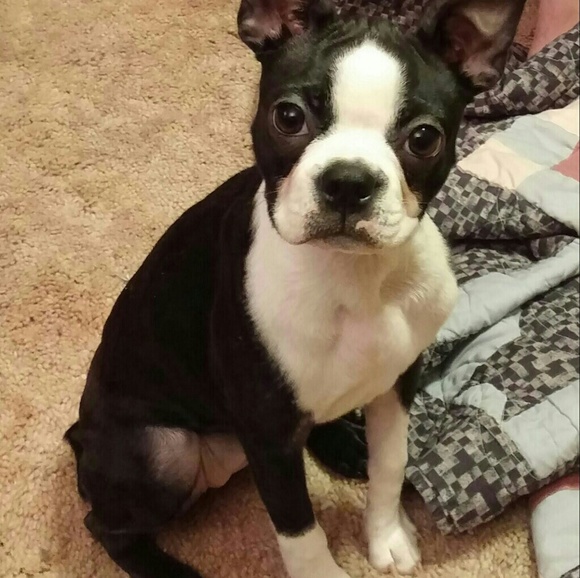 Meet your Posher, Amanda - Picture 7 of 8