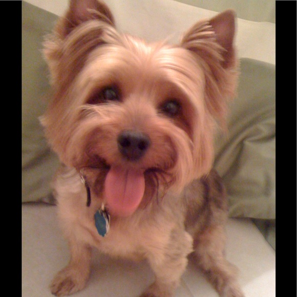 Meet your Posher, Michael - Picture 1 of 1