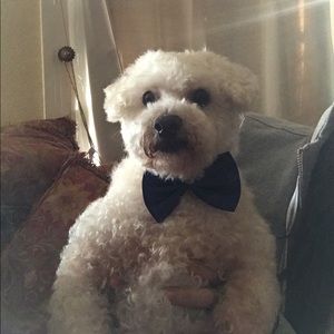 Meet your Posher, Ambar