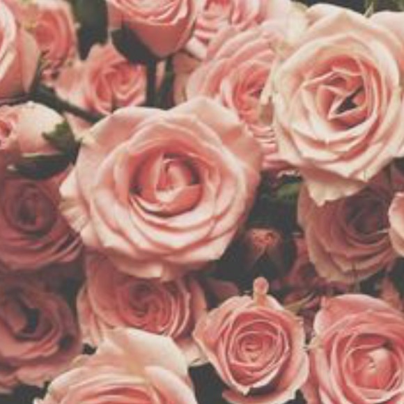 Meet your Posher, Michelle - Picture 1 of 1