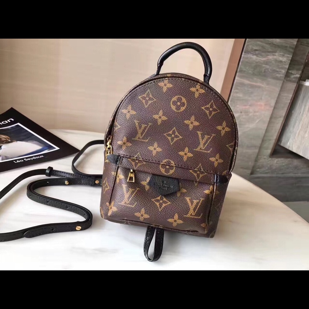 Louis Vuitton PALM SPRINGS BACKPACK MINI