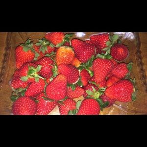 Meet your Posher, Jane