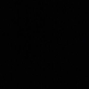 Meet your Posher, Princess