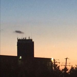 Meet your Posher, Juweriya