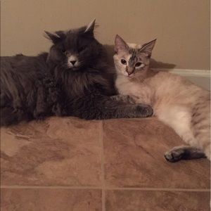 Meet your Posher, Melissa