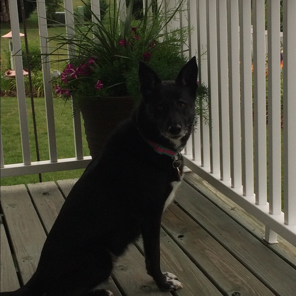 Meet your Posher, Janice - Picture 3 of 5