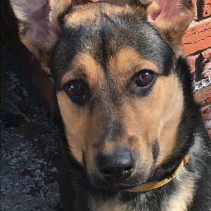 Meet your Posher, Deborah