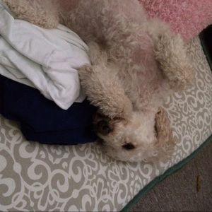 Meet your Posher, Aizza