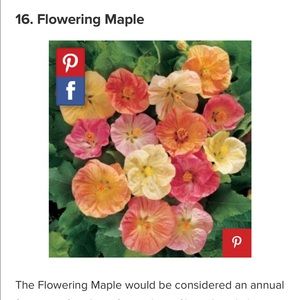 Meet your Posher, Joanna