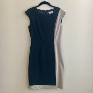 Calvin Klein Two-Tone Dress