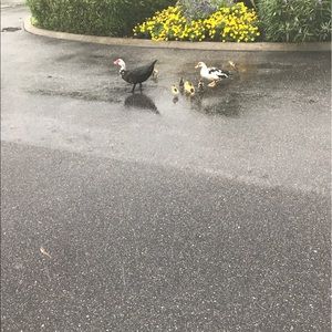 Meet your Posher, Juliane