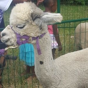 Meet your Posher, Shadonna