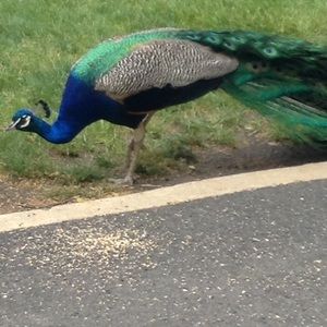 Meet your Posher, Sandra