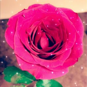 Meet your Posher, Bianca