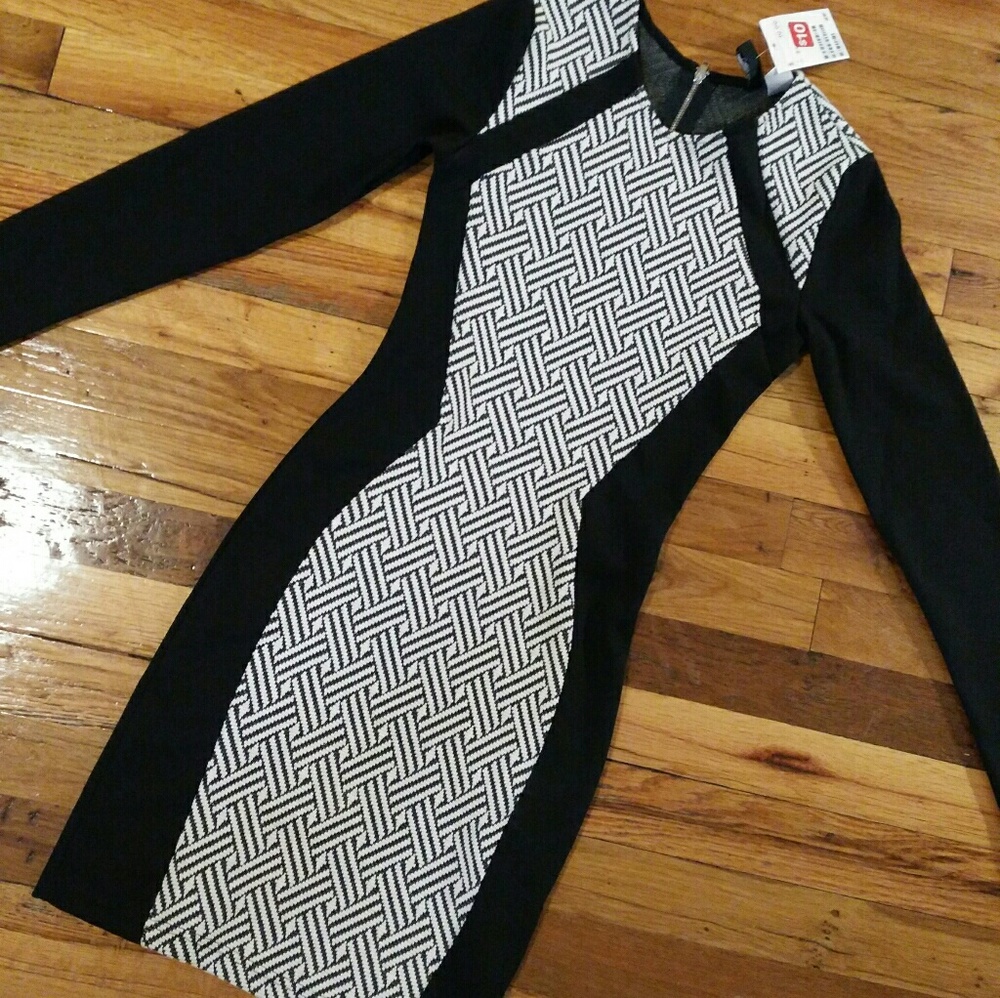 Long Sleeved Mini Dress