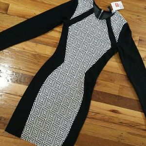 Long Sleeved Mini Dress