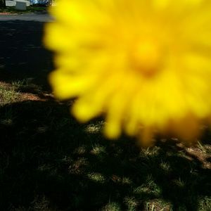 Meet your Posher, Rosetta