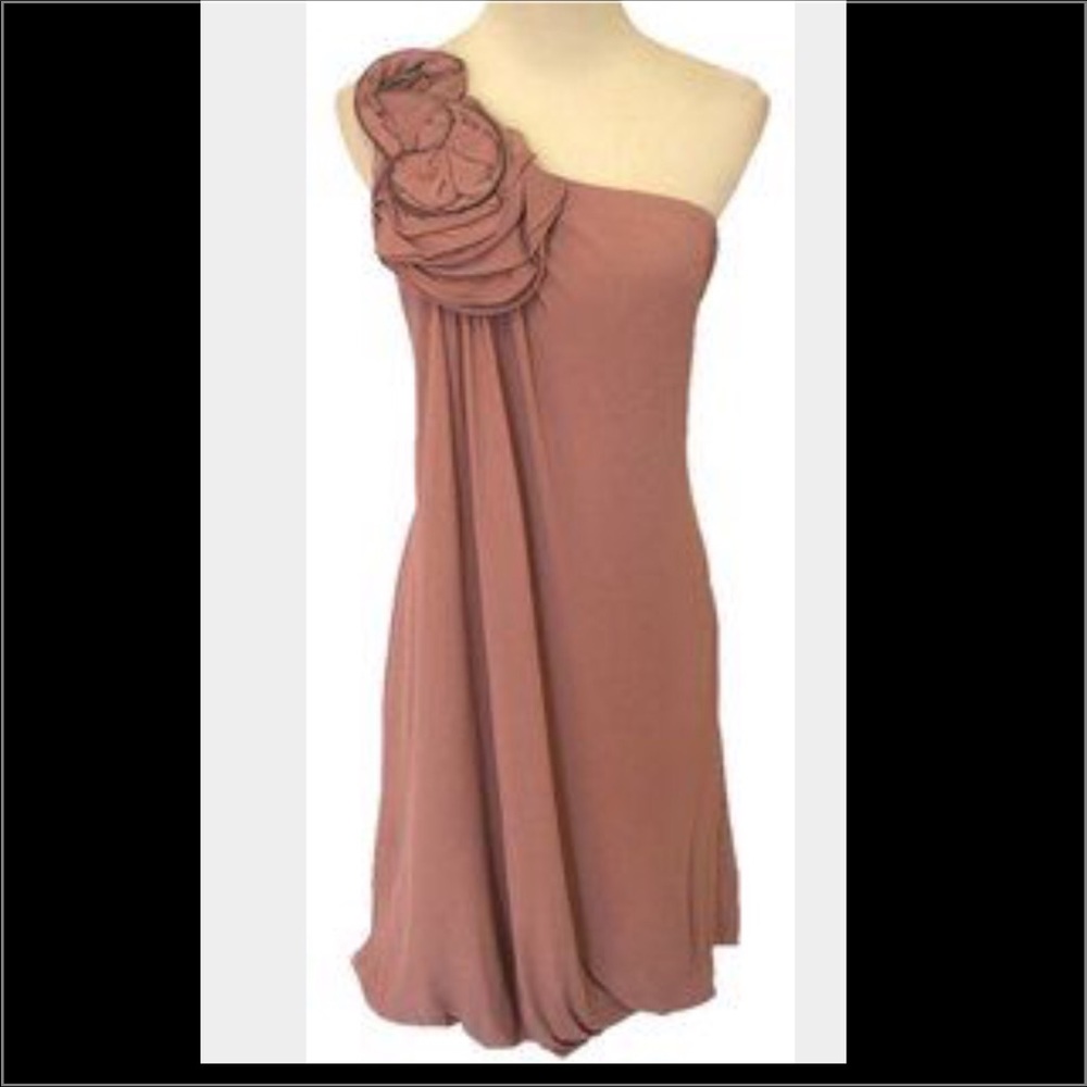 BCBG Rose Rosette illusion waist dress. Sz 4.