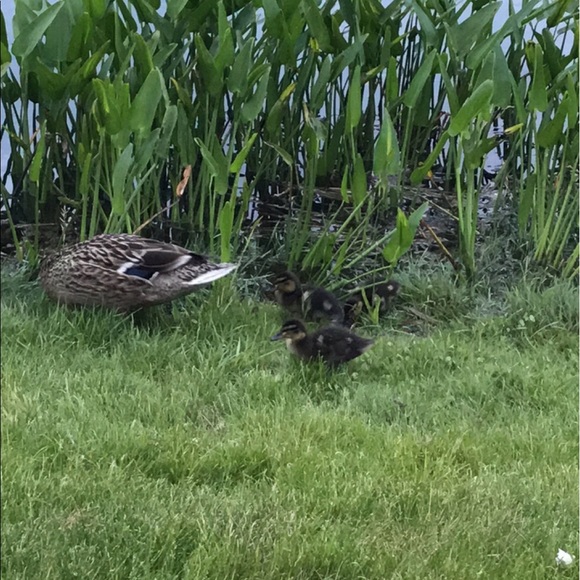 Meet your Posher, Jamie - Picture 1 of 1