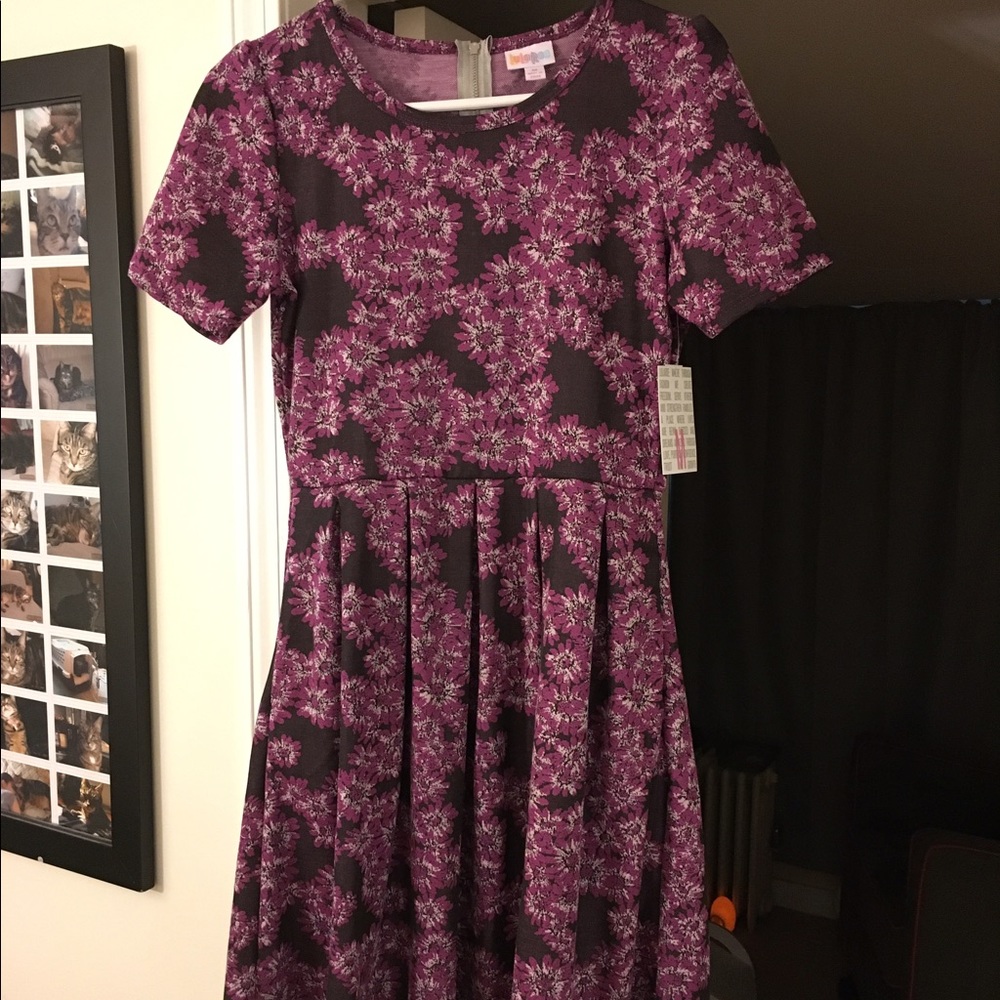 LuLaRoe M Amelia NWT