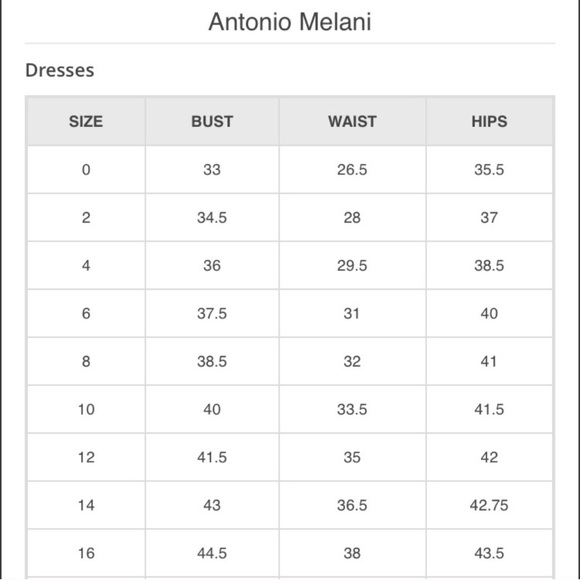 ✨NEW✨Antonio Melani Dress - Picture 7 of 7