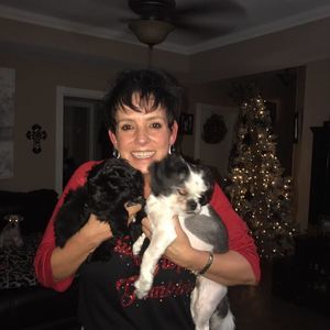 Meet your Posher, Shan