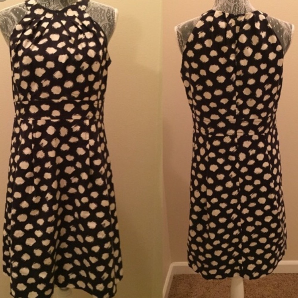 Ann Taylor Loft Navy and White Polka Dot Dress