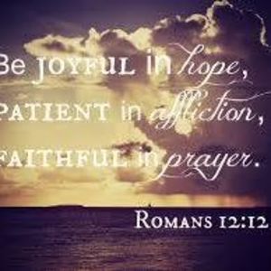 Meet your Posher, Steffy