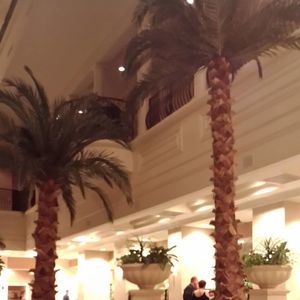 Meet your Posher, Cecelia