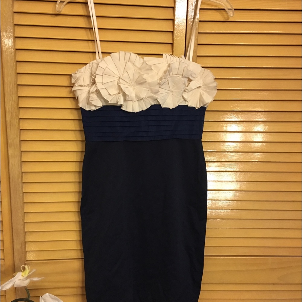 Cocktail Dress