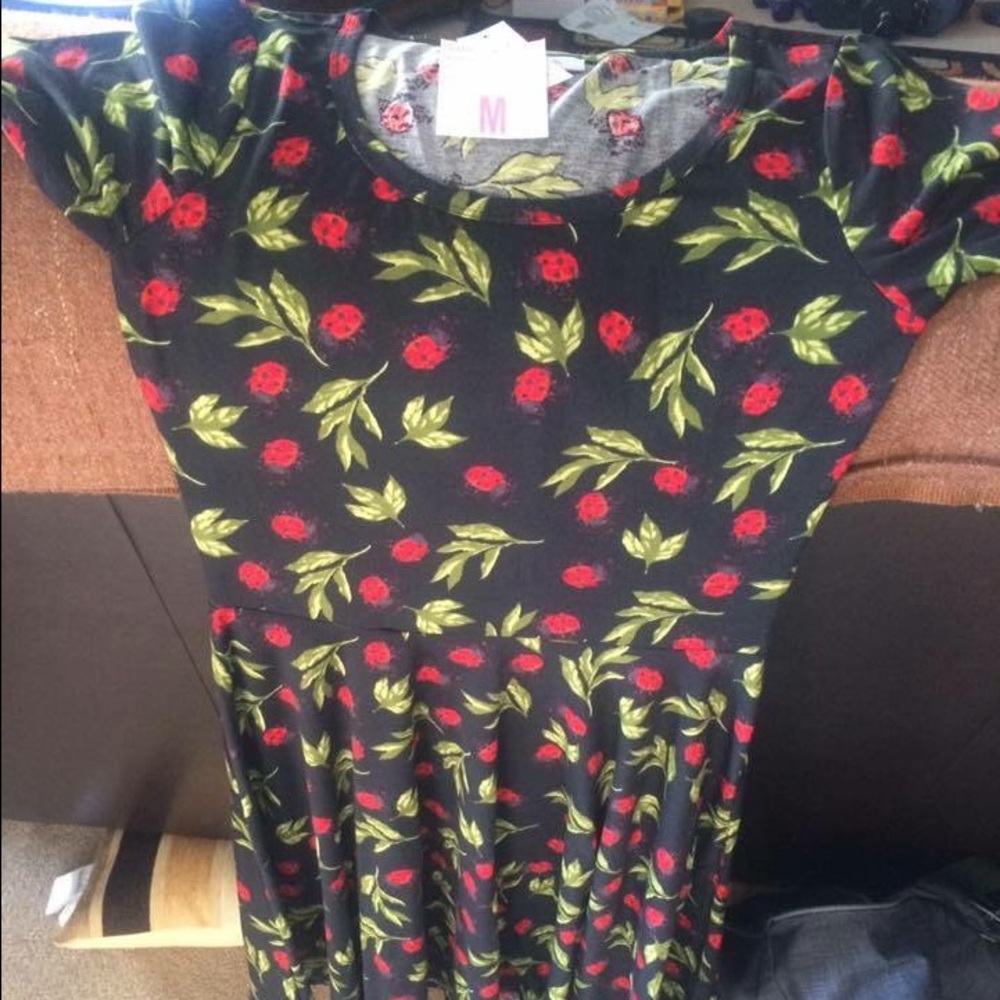 Lularoe Ladybug Nicole