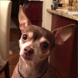 Meet your Posher, Francesca