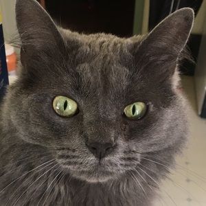 Meet your Posher, Crystal